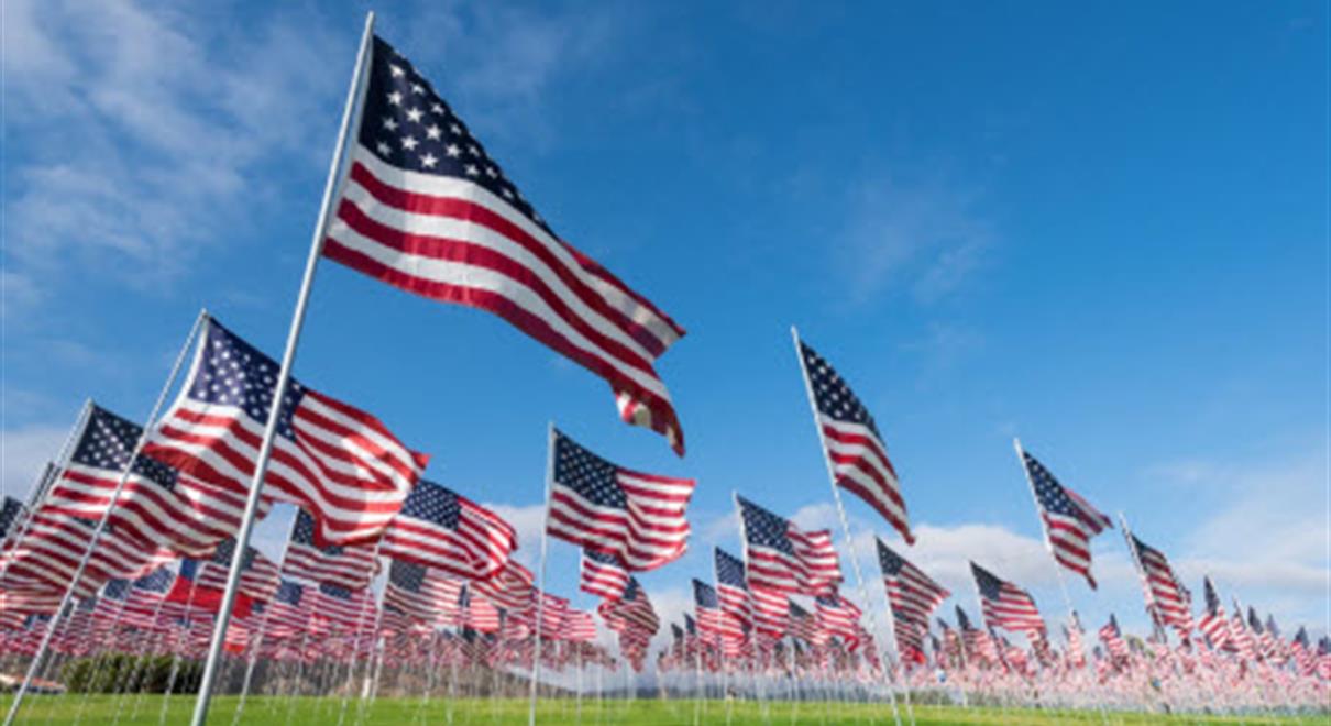 A field has many american flags planted in it