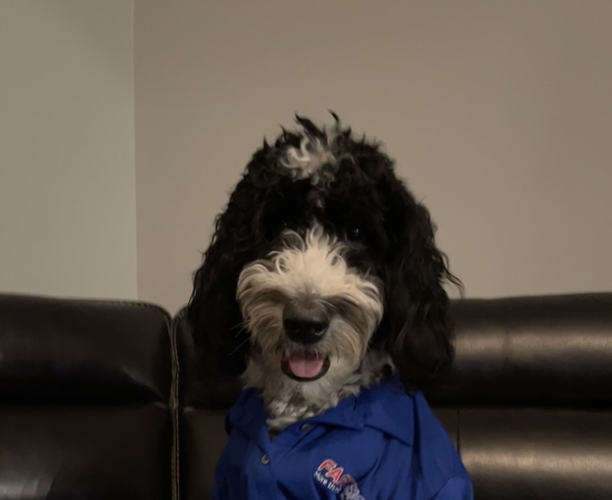 Headshot of Lucy Comer