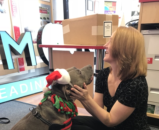 Headshot of Kareen MacFarlane