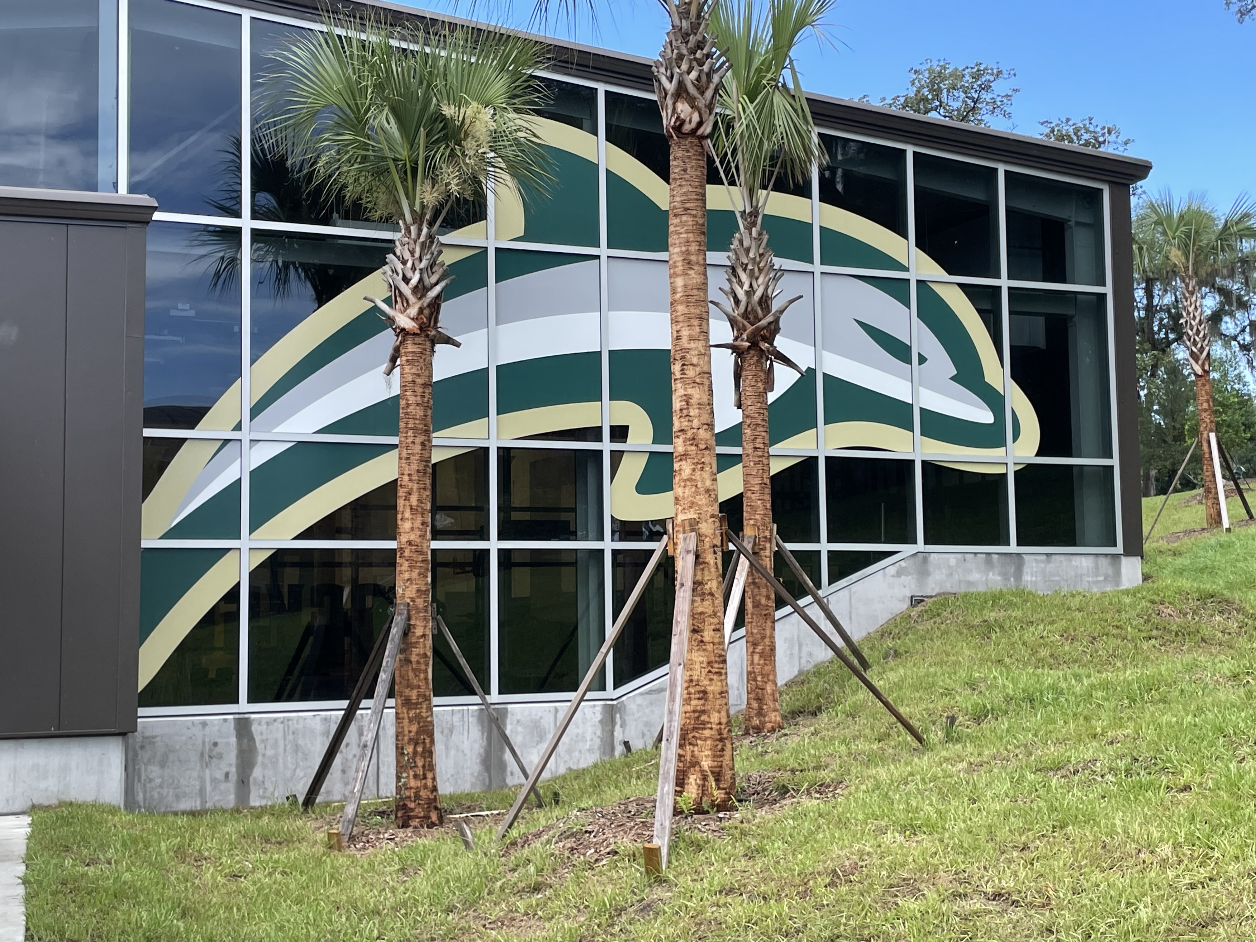 Jacksonville University Window Graphics