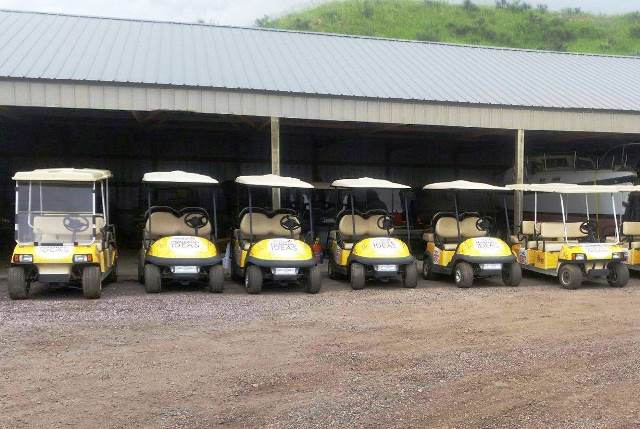 A line of golf carts featuring vinyl wraps