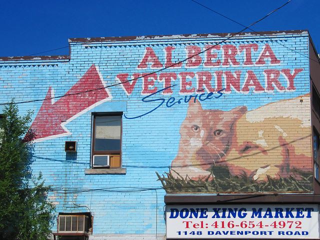 A veterinary clinic has a hand painted sign on the sign of a building