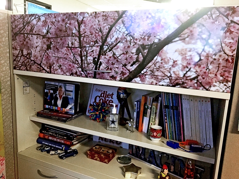 A FASTSIGNS International, Inc. employee’s personal cubicle décor includes a custom cherry blossom vinyl wrap over the file cabinet door.