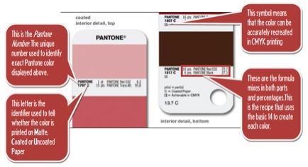 A graphic explaining how to read a Pantone Swatch