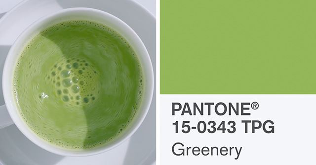pantone-color-of-the-year-2017-greenery-thumb640