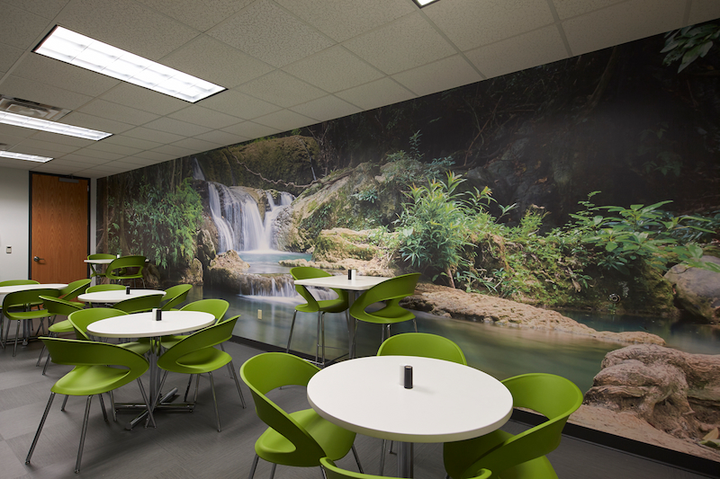 A breakroom has a wall mural with a nature scene