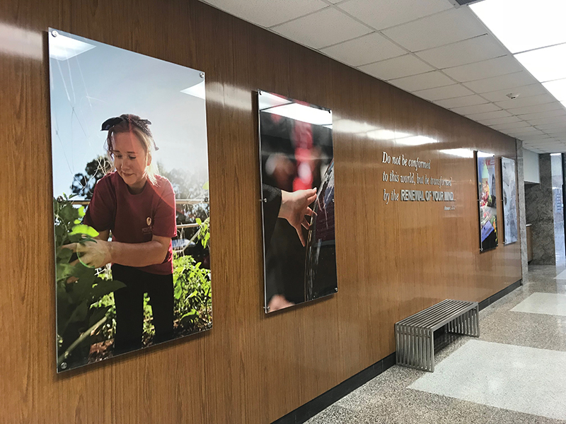 hallway graphics