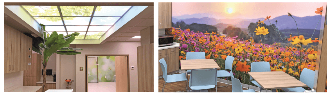 office rooms with nature walls and ceiling