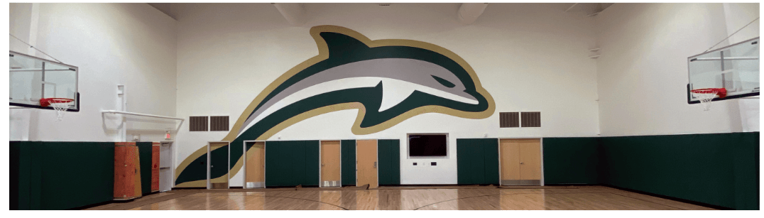 dolphin on wall