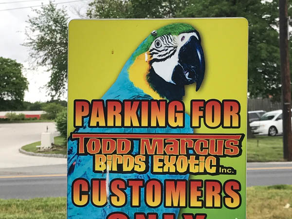 Todd Marcus Birds Exotic parking signs