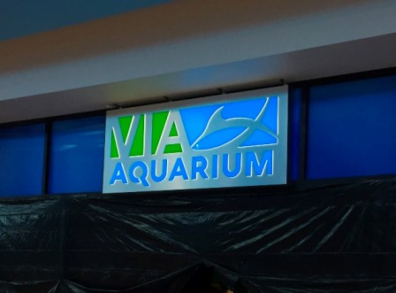 The VIA Aquarium