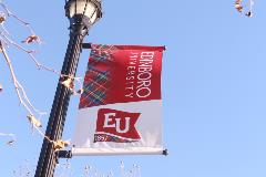 EU banner on lamp post