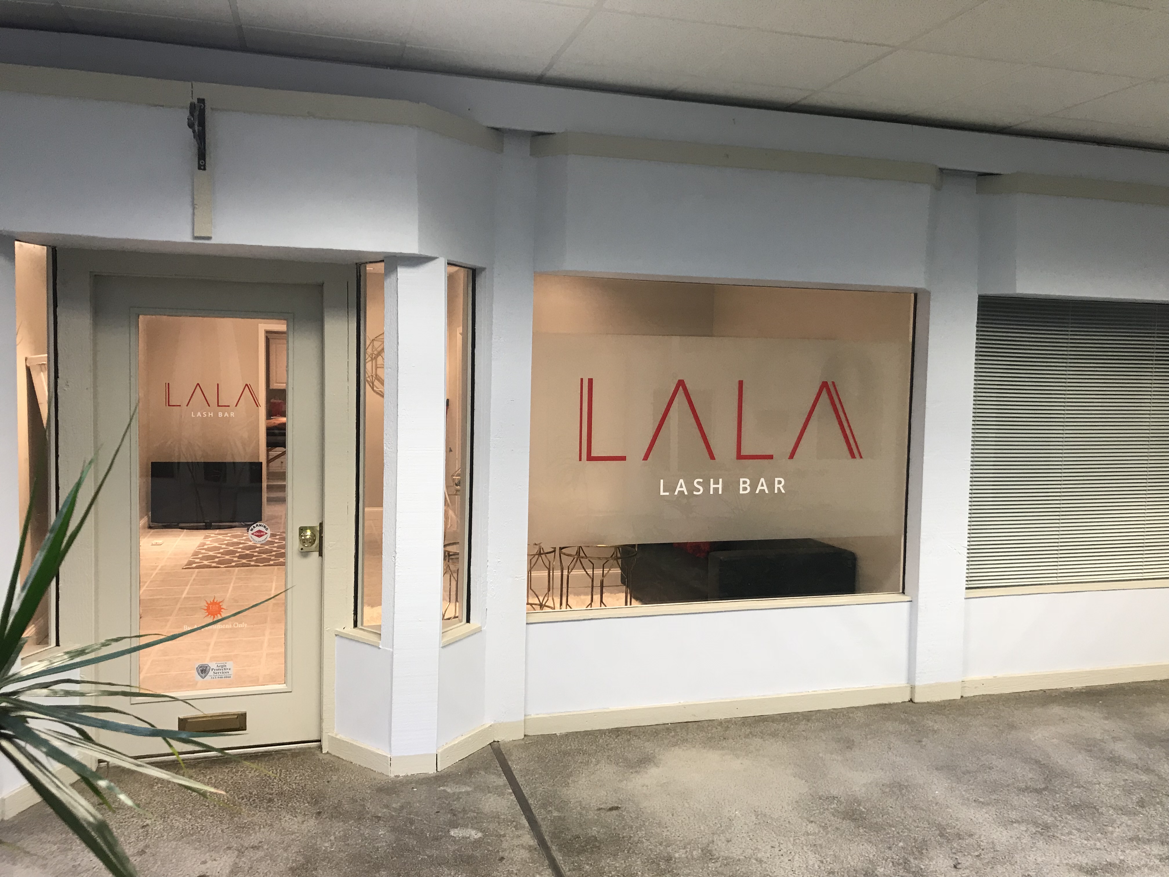 #windowandwallgraphics