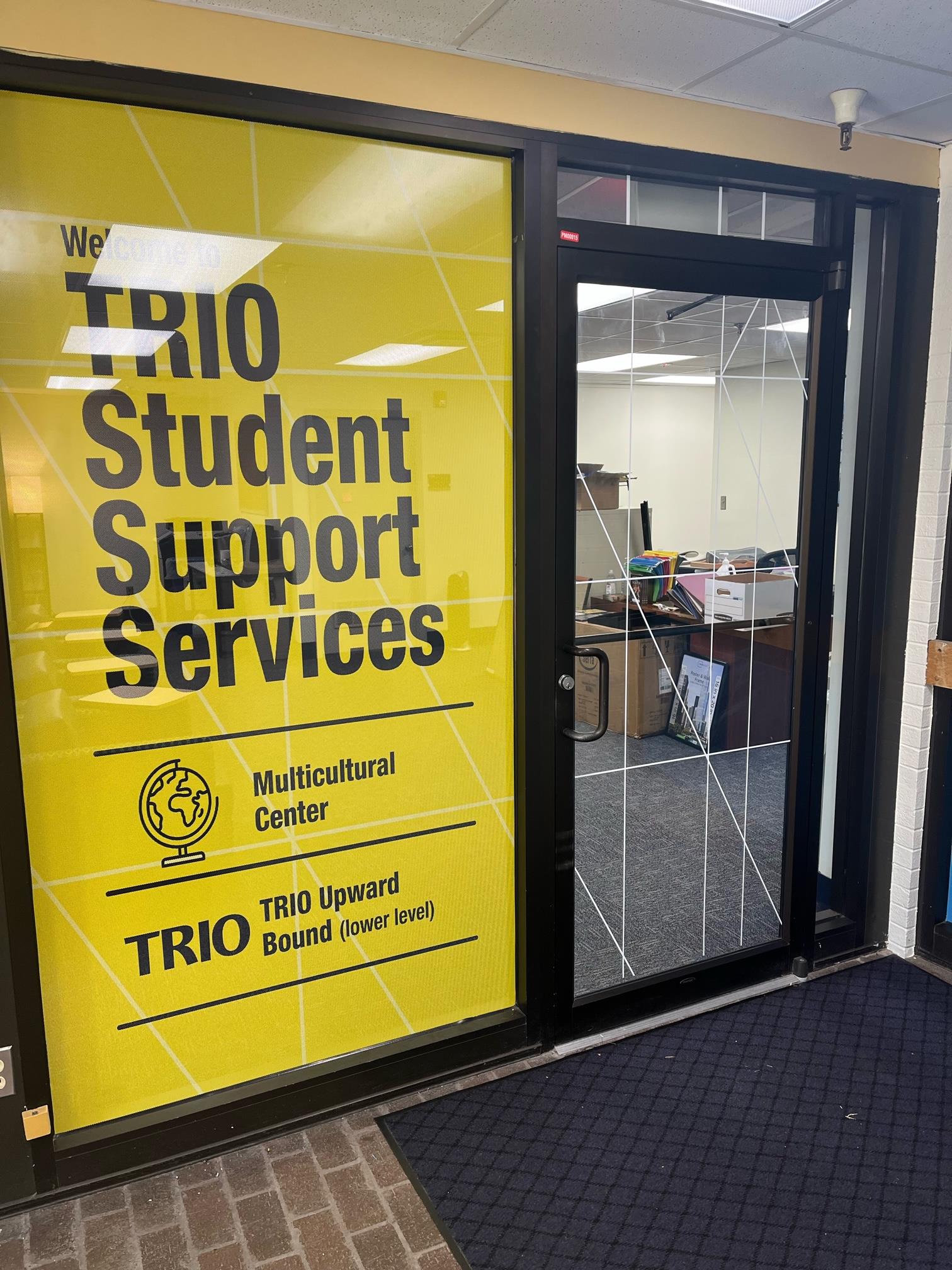 Window & Wall Graphics