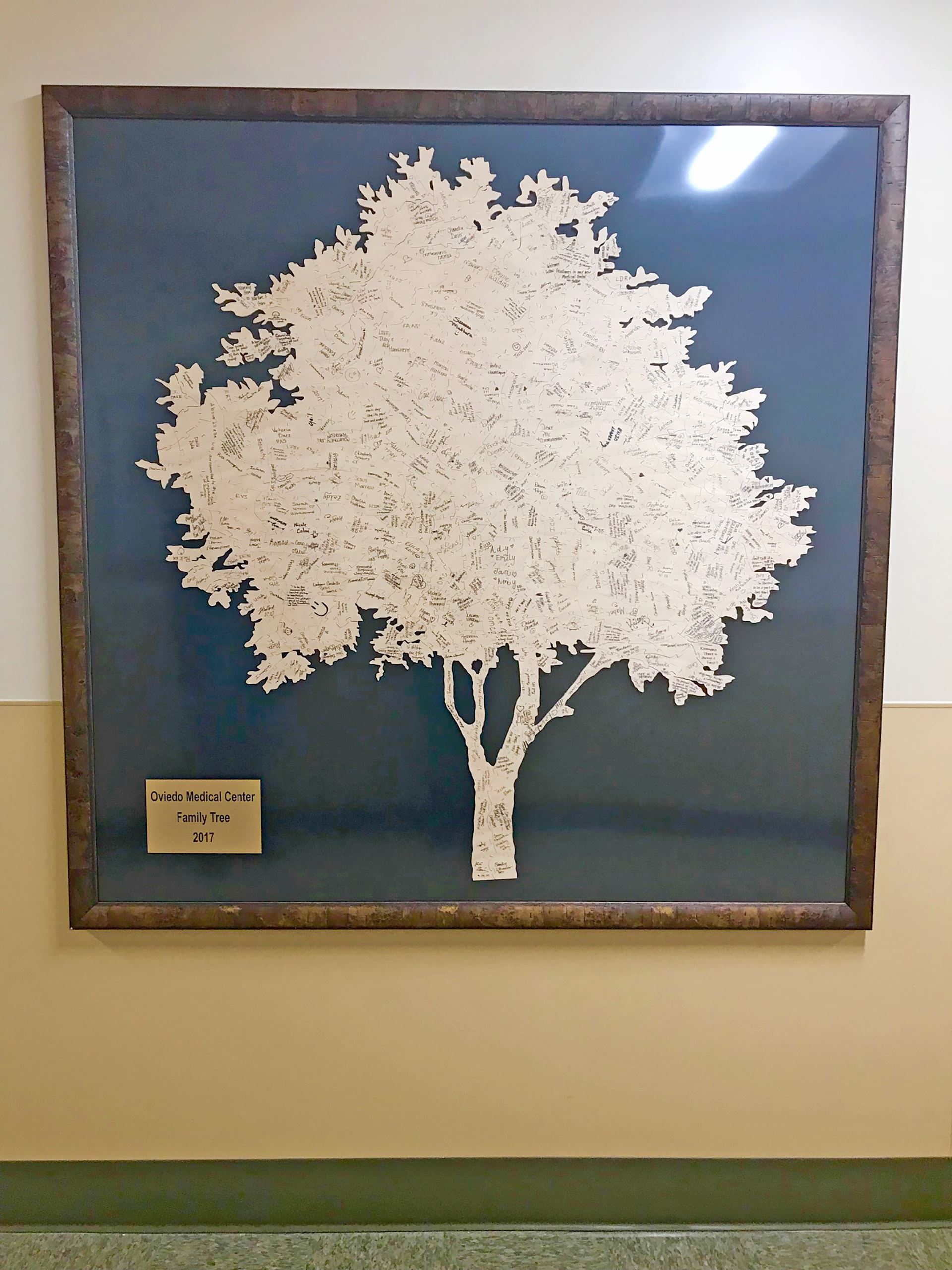 Family Tree Fine Art Prints
