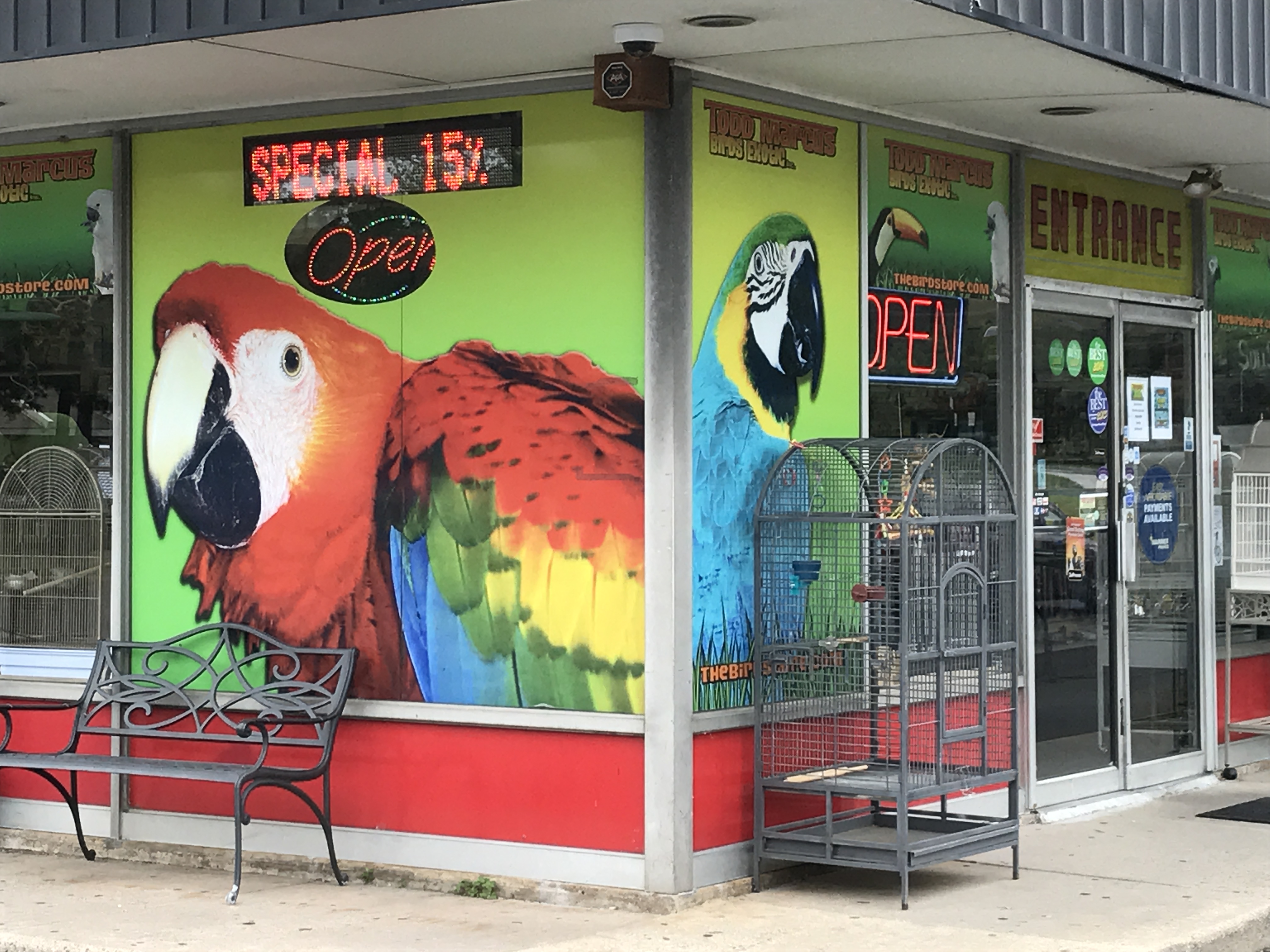 Todd Marcus Birds Exotic Printed Window Shades