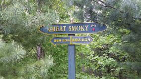 Wayfinding sign of great smoky in the forest