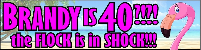 Custom banner for brandy with graphics