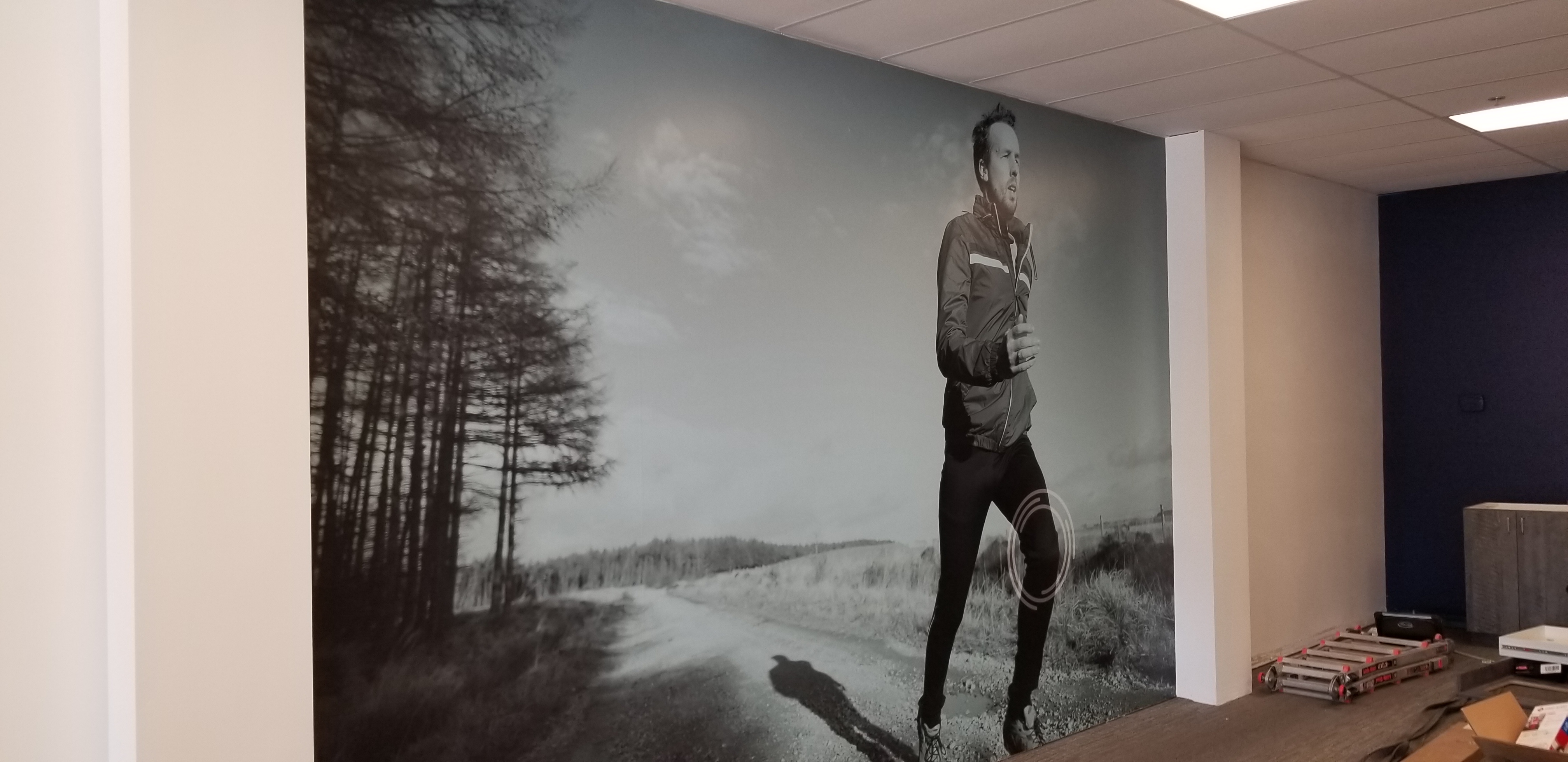 Window & Wall Graphics