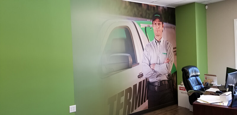 Photos on the green wall of the office with chair and tables