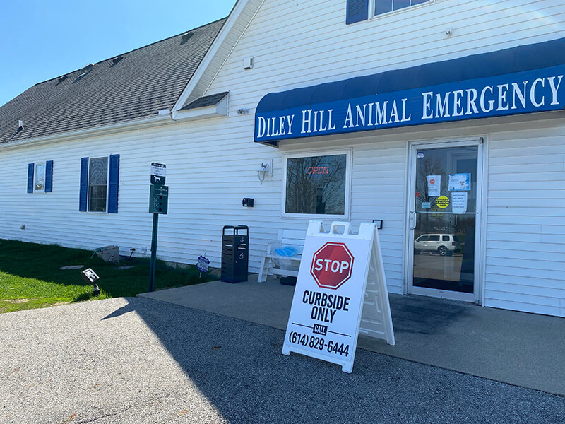 Blue Diley hill animal emergency signage