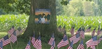 Banner with image on the tree with flags and grasses