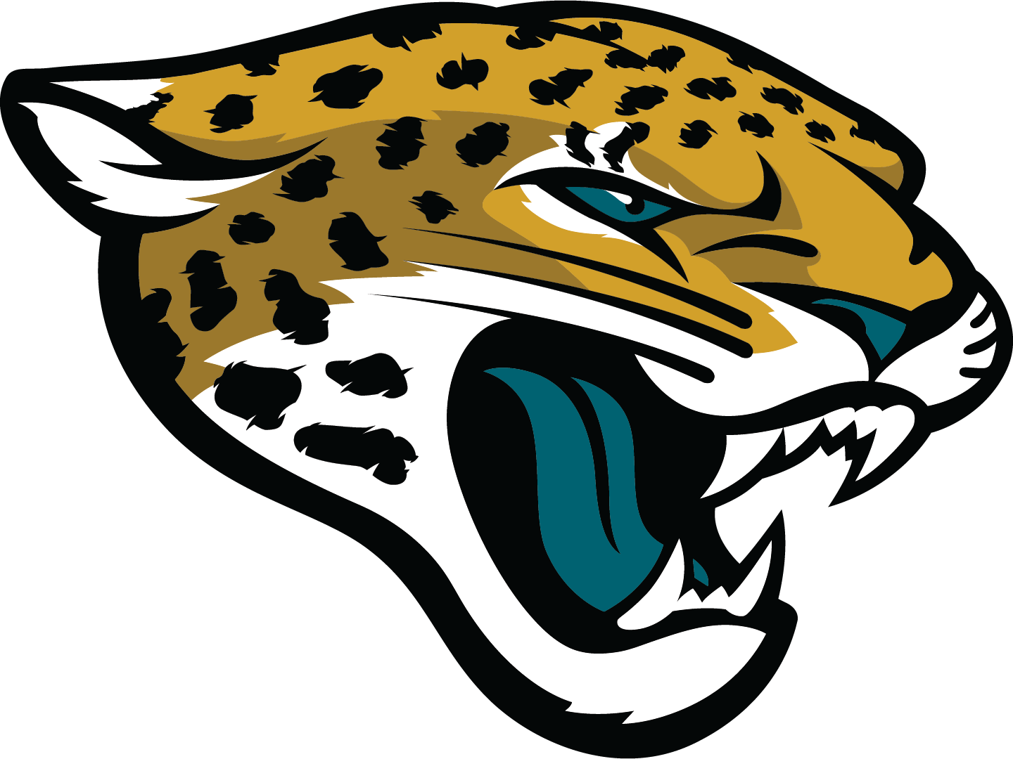 Proud Partner of the Jacksonville Jaguars