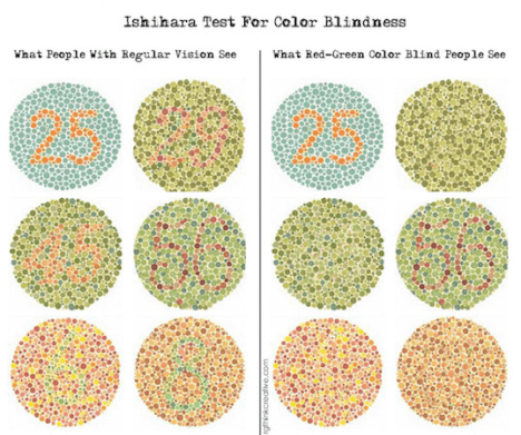 a graphic shows what red-green color blind people see