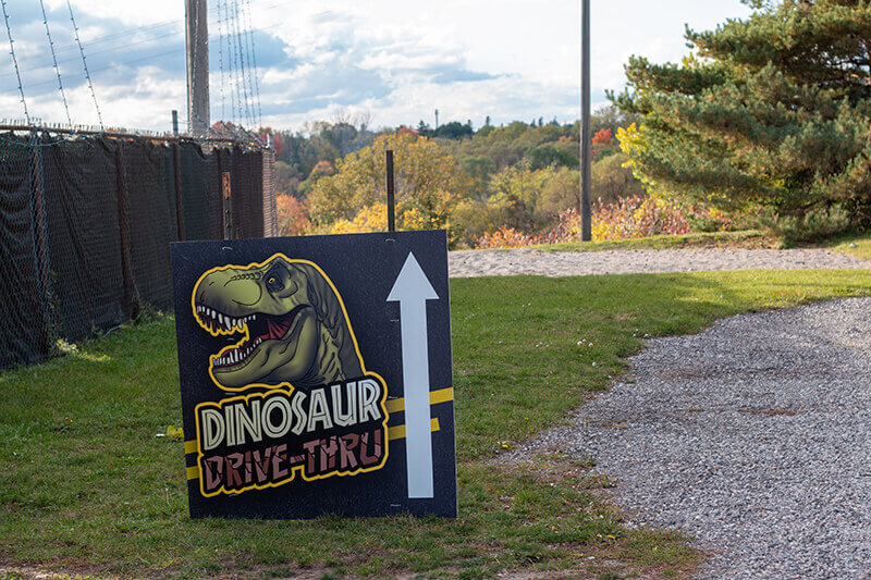 Dinosaur drive thru