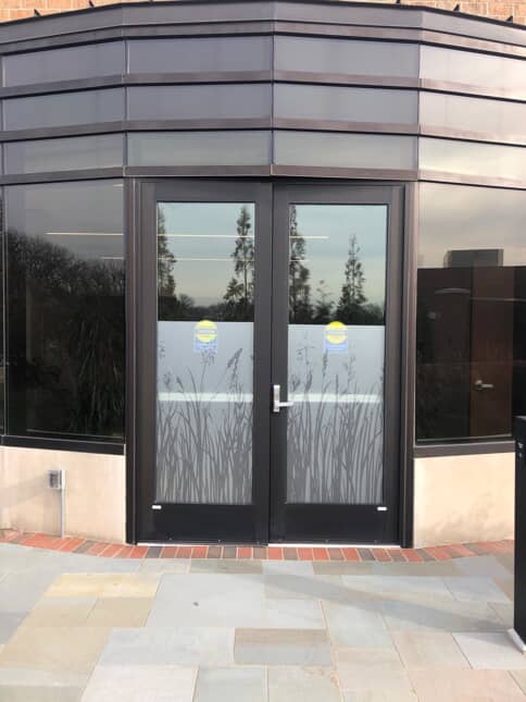 Window & Wall Graphics