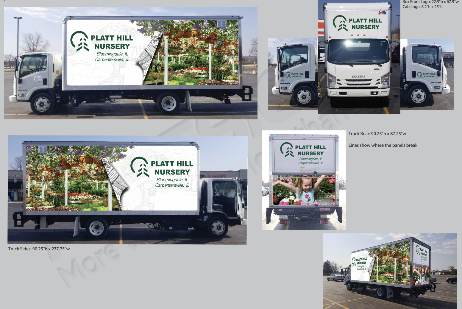 Vehicle Graphics