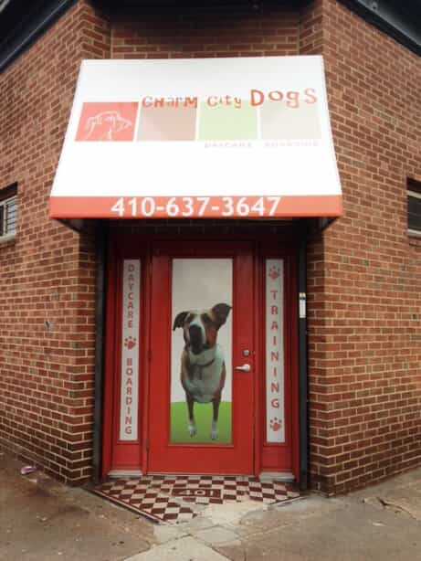 the storefront for charm city dogs