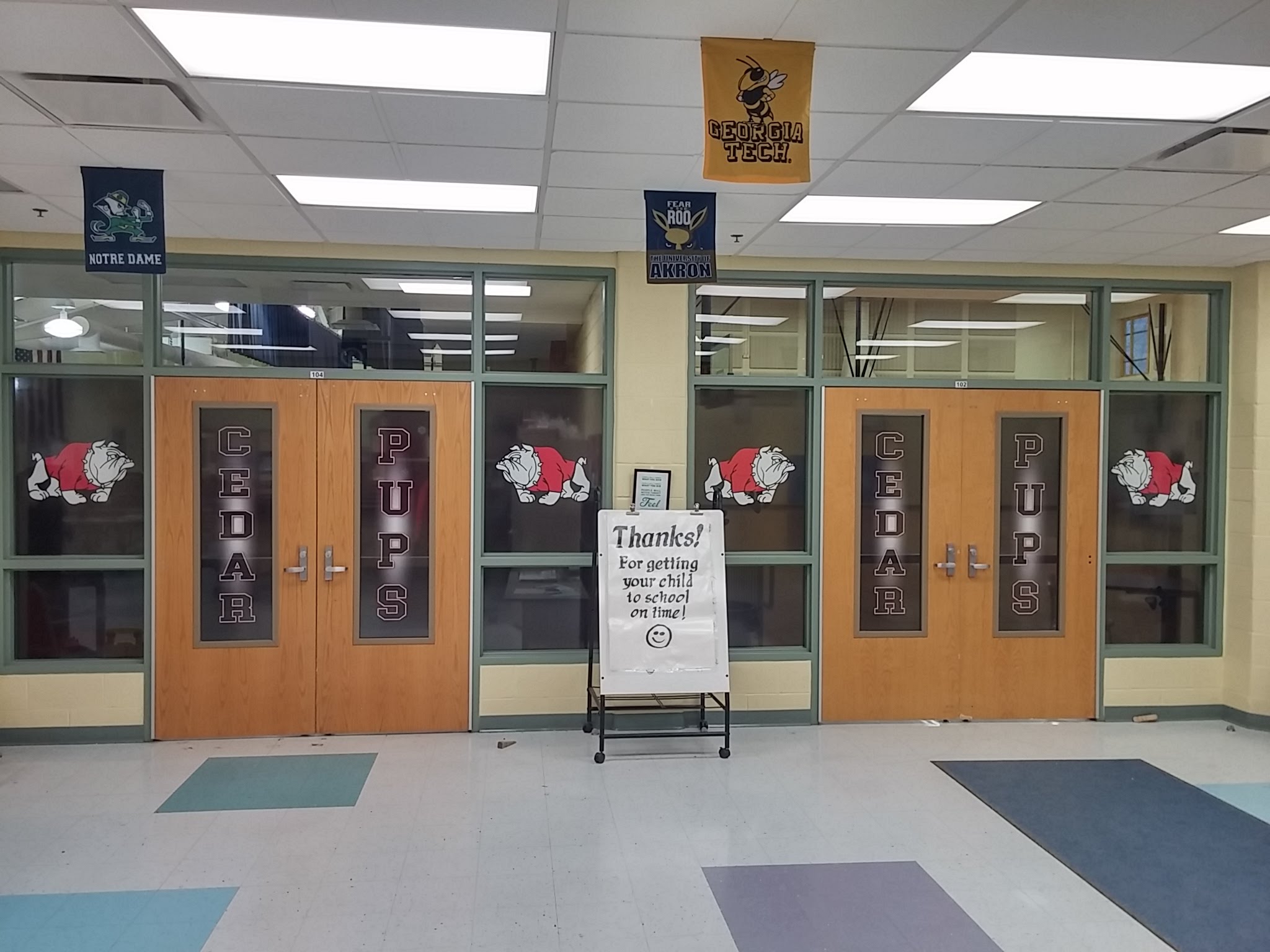 Window and Wall Graphics