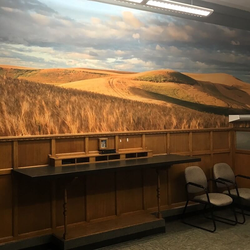 Custom wall mural