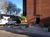 Basis phoenix central dimensional sign