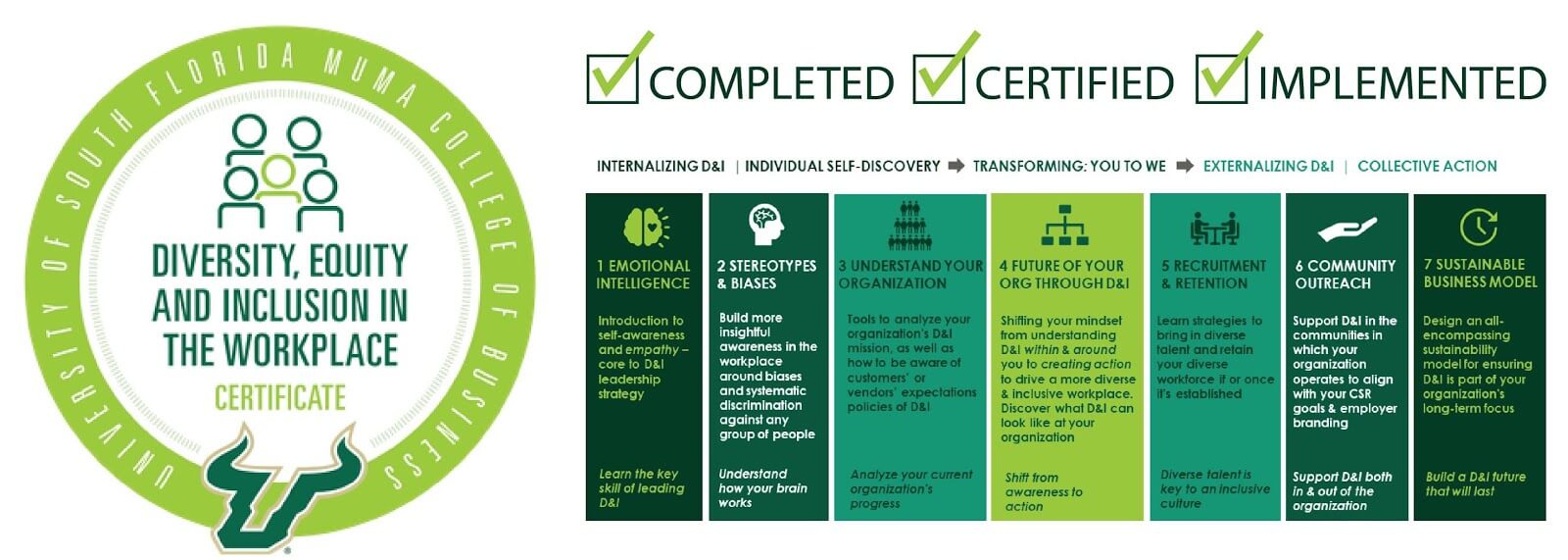 infographic about diversity, equity, and inclusion in the workplace