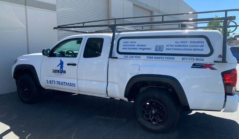 vinyl lettering, truck graphics