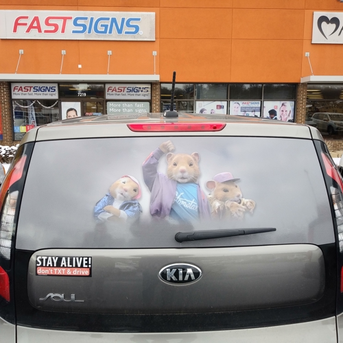 Vehicle Graphics