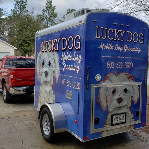 Vehicle Graphics