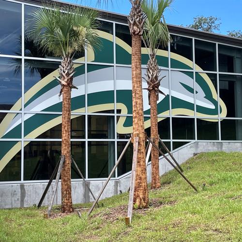 Jacksonville University Window Graphics