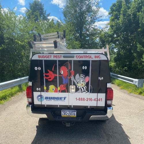 Vehicle Graphics & Wraps