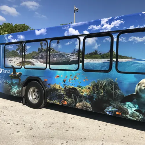 Wrapped Bus