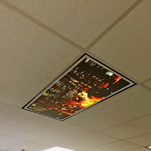 Personalized Ceiling Tiles