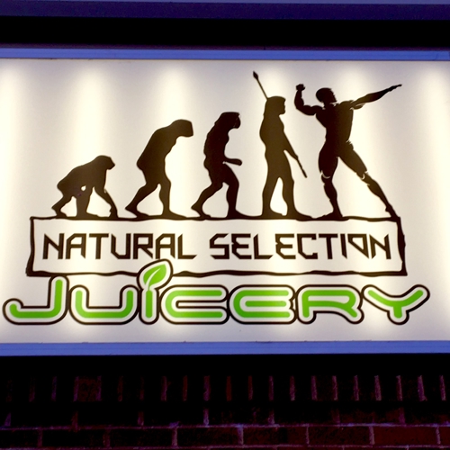 Natural Select Prep LED Sign Board