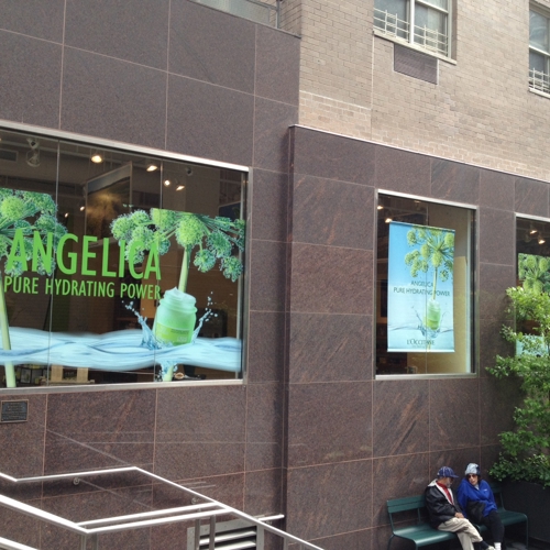 Window Graphics