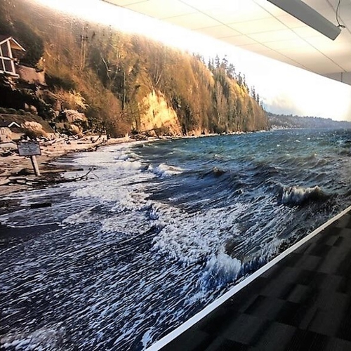 Window & Wall Graphics